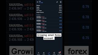 001 lot size forex  meta trading 5  Exness trading strategy 🎯forex trading strategy forextrading [upl. by Mariya]