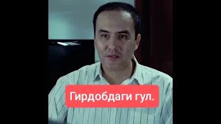 Гирдобдаги гул ФАХРИДДИН ШАМСИМАТОВ [upl. by Enahs]