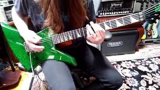 Brandon Ellis  Verminous Riff Playthrough [upl. by Ayitahs352]