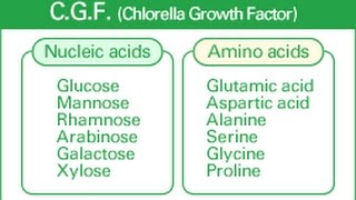 5 Hidden Benefits of Chlorella Growth Factor [upl. by Elliott759]