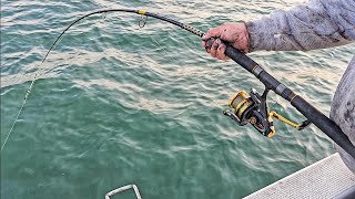 Early Season  Westernport Whiting amp Snapper Fishing [upl. by Yruama]