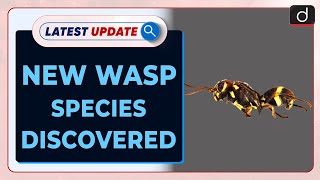 New Wasp Species Discovered  Latest update  Drishti IAS English [upl. by Barbour]