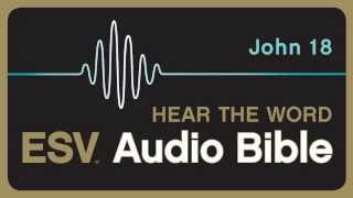 ESV Audio Bible Gospel of John Chapter 18 [upl. by Udenihc420]