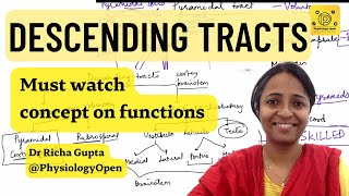 Descending pathways physiology  Pyramidal and extrapyramidal tracts  CNS Physiology mbbs 1st year [upl. by Girvin303]