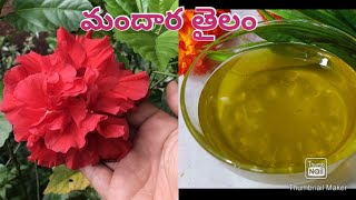 Mandaara Tailamజుట్టు బాగా పెరగాలంటే ఈ మందార తైలం వాడాలి  Mandaara Tailam Hair Oil In Telugu [upl. by Bonis]