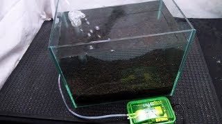 How to install under gravel filter in small aquarium [upl. by Acinorav677]