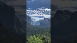 Breathtaking Yosemite National Park shorts nationalpark [upl. by Naesed]