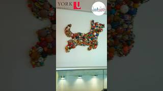 Explore the beauty of York University YorkUniversity studyabroad studyincanada universitytour [upl. by Enilrem352]