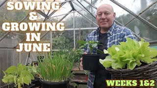 Sowing amp Growing In June Week One amp Two 2023 Gardening Allotment UK Grow Vegetables At Home [upl. by Wack]