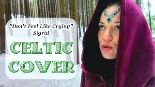 Sigrid  Dont Feel Like Crying  Celtic Cover by Elinor feat Charles Harrison [upl. by Arev70]