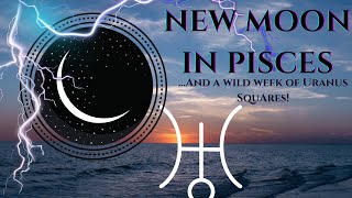 WILD ENERGIES RIGHT NOW UPCOMING NEW MOON IN PISCES [upl. by Grey]