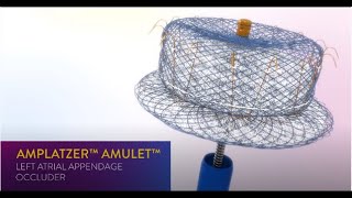 Guide to AFib and Stroke Risk Reduction – Amplatzer Amulet LAA Occluder [upl. by Bengt]