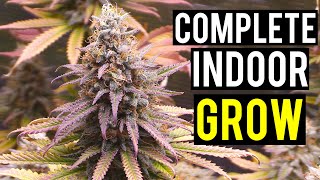 Seed To Harvest A Complete Indoor Cannabis Grow [upl. by Caitlin342]