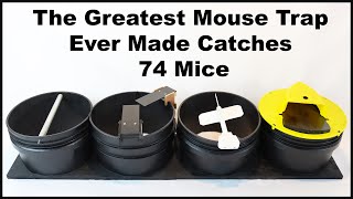 The Greatest Mouse Trap Ever Made Catches 74 Mice  The 4 in 1 Mouse Trap Mousetrap Monday [upl. by Zeeba]