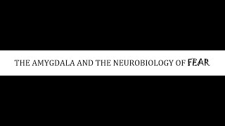 STAHLS  CH 9  PART 2  THE AMYGDALA AND NEUROBIOLOGY OF FEAR  psychiatrypsychopharmacology [upl. by Januisz]