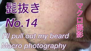 【Pull out the beard】 No14 髭抜き！ [upl. by Alyworth]