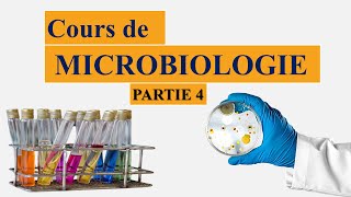 cours de microbiologie partie 4 techniques de laboratoire  culture pure  méthode des stries [upl. by Oicor]