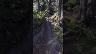 Mountain Biking Trails Canmore Nordic Centre Alberta mtb mountains [upl. by Gehlbach799]