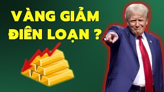 Giá Vàng Vì Sao Giảm Điên Loạn Nguyên Nhân Từ Đâu [upl. by Aierb]