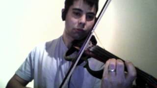 The Wild Rover Dubliners Pogues Various  Electric Violin [upl. by Alleon439]