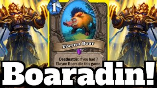 Elwynnadin Boaradin Paladin SHOCKINGLY FAST  Hearthstone [upl. by Aisemaj]