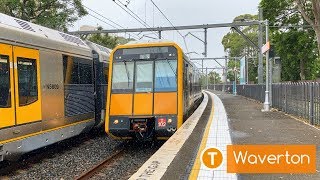 Sydney Trains Vlog 1687 Waverton Trainspotting [upl. by Solange]