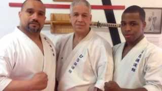 LAUREANO MARTIAL ARTS JU JITSU [upl. by Normandy]