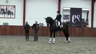 Sir Donnerhall II Helgstrand Dressage Stallion show 2014 [upl. by Notniw]