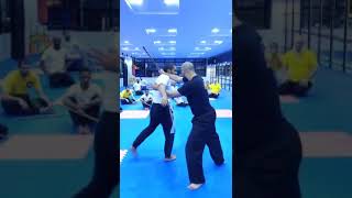 Technique jeetkunedo By Sensei Mohamed Bahdou [upl. by Sac]