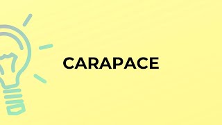 What is the meaning of the word CARAPACE [upl. by Sower]