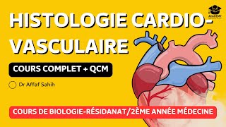 Histologie de lappareil cardiovasculaire  cœur  capillaires  artères [upl. by Skipp739]