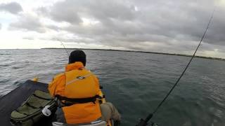 Kayak Fishing at Mordialloc Victoria Australia [upl. by Silma319]