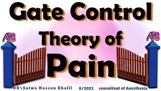 Gate Control Theory of Pain [upl. by Dorene]