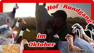 Hofrundgang im Oktober 2024 [upl. by Attelliw594]