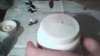 Acrylic Butterfly  How To  By Helives [upl. by Maurili573]