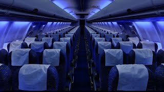 Airplane Cabin White Noise Jet Sounds  Great for Sleeping Studying Reading amp Homework  10 Hours [upl. by Laine]