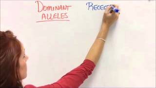 Dominant vs Recessive Traits [upl. by Aremmat]