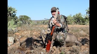 Hunting African Wildebeest with an Airgun [upl. by Desdamona38]