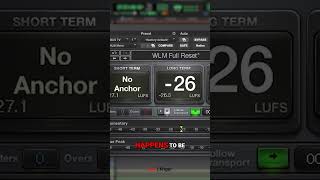 Best Loudness Meter for Perfect Audio Editing [upl. by Hasile812]