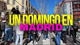 Mercado en el Rastro  MADRID Qué hacer un domingo en Madrid 🤔 [upl. by Eikcir]