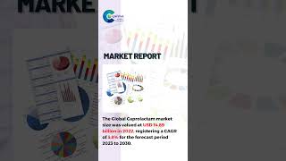 Caprolactam Market Report 2024 Global Edition [upl. by Hgielime]