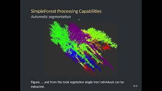 SimpleForest  State of the Art  Theory and Praxis 2021 [upl. by Aleac]