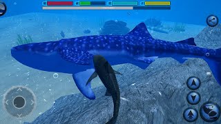 Ultimate Shark Simulator  Fish Simulator Game  Wild Shark Simulator Android Gameplay  2 [upl. by Wilda]