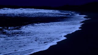 Ocean Waves For Deep Sleep 10 Hours  Soothing Ocean Waves Sounds All Night For Insomnia Healing [upl. by Ainuj737]