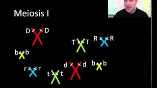 Meiosis part 1 of 2 [upl. by Laurens847]