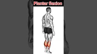 Plantar flexion legworkout [upl. by Andrey]