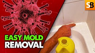 Shower Mold Removal  Super Easy Cleaning Hack [upl. by Eneryc]