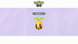 Evolving Sunkern Shiny to Sunflora Shiny  Pokémon Go [upl. by Enaelem]