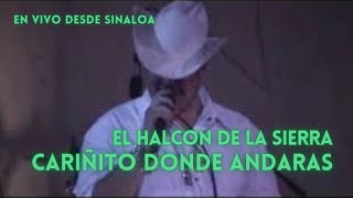 El Halcón De La Sierra  Cariñito Donde Andarás En Vivo [upl. by Akinajnat675]