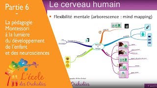 Partie 6  Les découvertes de Maria Montessori 2 [upl. by Hubey]